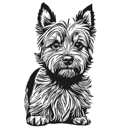 Illustration for Cairn Terrier dog logo vector black and white, vintage cute dog head engraved realistic pet silhouette - Royalty Free Image