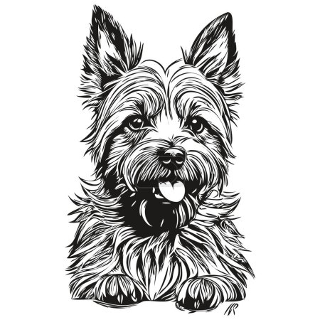 Illustration for Cairn Terrier dog outline pencil drawing artwork, black character on white background realistic breed pet - Royalty Free Image