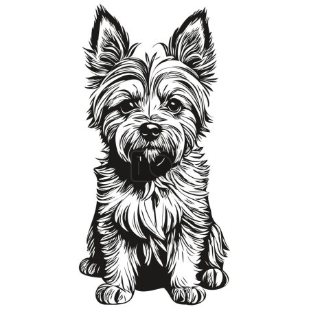 Illustration for Cairn Terrier dog pet silhouette, animal line illustration hand drawn black and white vector sketch drawing - Royalty Free Image