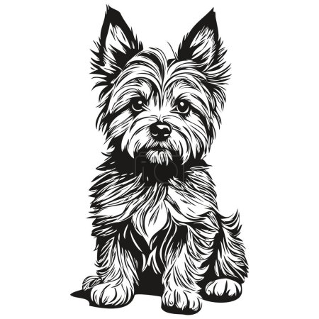 Illustration for Cairn Terrier dog pet sketch illustration, black and white engraving vector realistic breed pet - Royalty Free Image