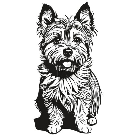 Illustration for Cairn Terrier dog pet sketch illustration, black and white engraving vector - Royalty Free Image