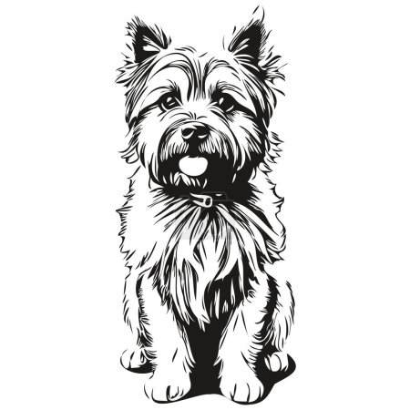 Illustration for Cairn Terrier dog portrait in vector, animal hand drawing for tattoo or tshirt print illustration sketch drawing - Royalty Free Image