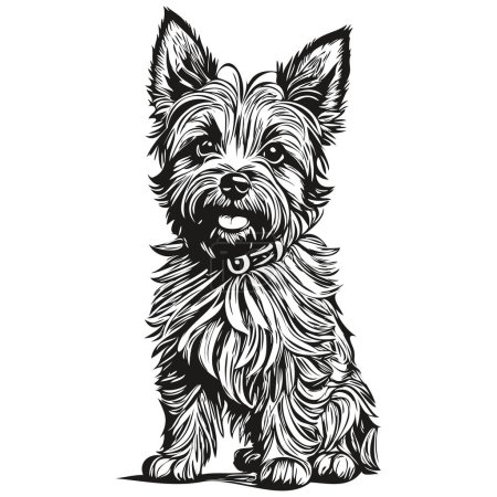 Illustration for Cairn Terrier dog portrait in vector, animal hand drawing for tattoo or tshirt print illustration realistic breed pet - Royalty Free Image