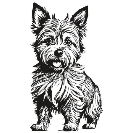 Illustration for Cairn Terrier dog realistic pencil drawing in vector, line art illustration of dog face black and white - Royalty Free Image