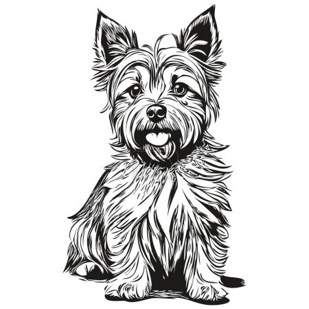 Illustration for Cairn Terrier dog realistic pencil drawing in vector, line art illustration of dog face black and white sketch drawing - Royalty Free Image