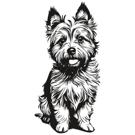 Illustration for Cairn Terrier dog silhouette pet character, clip art vector pets drawing black and white realistic breed pet - Royalty Free Image