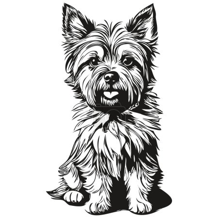 Illustration for Cairn Terrier dog vector graphics, hand drawn pencil animal line illustration realistic breed pet - Royalty Free Image