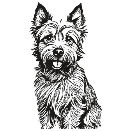 Illustration for Cairn Terrier dog vector face drawing portrait, sketch vintage style transparent background sketch drawing - Royalty Free Image