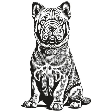 Téléchargez les illustrations : Chinois Shar Pei chien race ligne dessin, clip art animal dessin à la main vecteur noir et blanc - en licence libre de droit