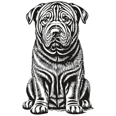 Téléchargez les illustrations : Croquis d'encre de chien Shar Pei chinois dessin, tatouage vintage ou t-shirt imprimé vecteur noir et blanc - en licence libre de droit