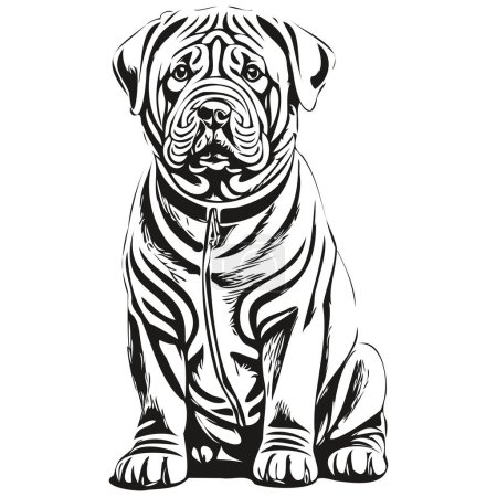 Téléchargez les illustrations : Illustration de la ligne de chien Shar Pei chinois, croquis à l'encre noire et blanche portrait du visage en animal de compagnie vectoriel de race réaliste - en licence libre de droit