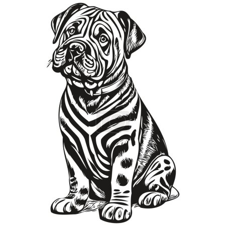 Téléchargez les illustrations : Illustration de la ligne de chien Shar Pei chinois, croquis à l'encre noire et blanche portrait du visage en silhouette vectorielle réaliste pour animaux de compagnie - en licence libre de droit