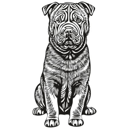 Téléchargez les illustrations : Illustration de la ligne de chien Shar Pei chinois, croquis à l'encre noire et blanche portrait du visage en vecteur - en licence libre de droit