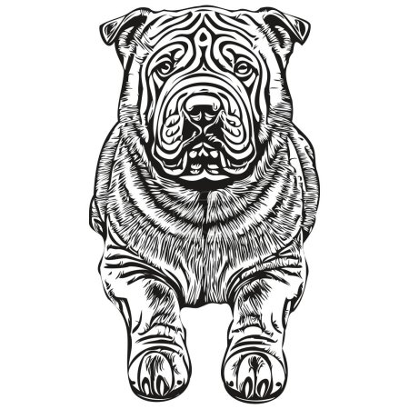Téléchargez les illustrations : Chinois Shar Pei chien contour crayon dessin illustration, caractère noir sur fond blanc animal de compagnie de race réaliste - en licence libre de droit