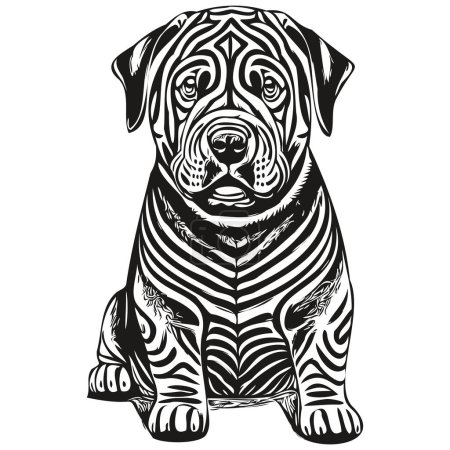 Téléchargez les illustrations : Chinois Shar Pei chien contour crayon dessin illustration, caractère noir sur fond blanc - en licence libre de droit