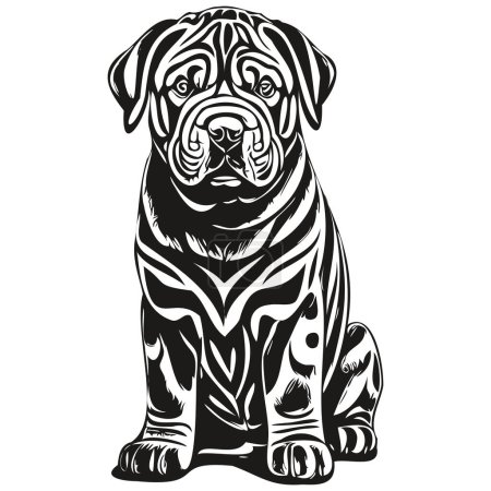Téléchargez les illustrations : Chien chinois Shar Pei croquis pour chien illustration, gravure en noir et blanc vecteur animal de compagnie de race réaliste - en licence libre de droit