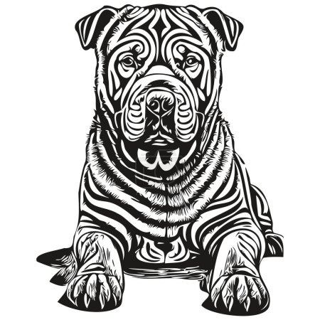 Téléchargez les illustrations : Croquis chinois pour chien Shar Pei illustration, gravure en noir et blanc croquis vectoriel dessin - en licence libre de droit