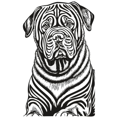 Téléchargez les illustrations : Croquis pour chien chinois Shar Pei illustration, vecteur de gravure noir et blanc - en licence libre de droit