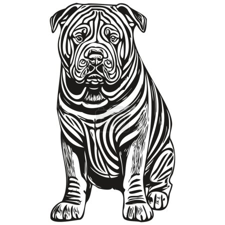 Téléchargez les illustrations : Chinois Shar Pei chien t-shirt imprimé noir et blanc, dessin dessin dessin drôle vecteur réaliste race animal de compagnie - en licence libre de droit