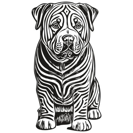 Téléchargez les illustrations : Graphiques vectoriels de chien Shar Pei chinois, illustration de ligne animale au crayon dessiné à la main - en licence libre de droit