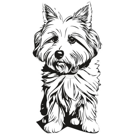 Ilustración de Coton de Tulear perro raza línea dibujo, clip arte animal mano dibujo vector blanco y negro - Imagen libre de derechos