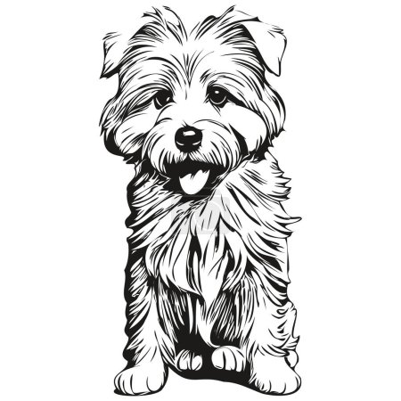 Ilustración de Coton de Tulear retrato de tinta cara de dibujos animados para perros, dibujo en blanco y negro, estampado de camiseta - Imagen libre de derechos