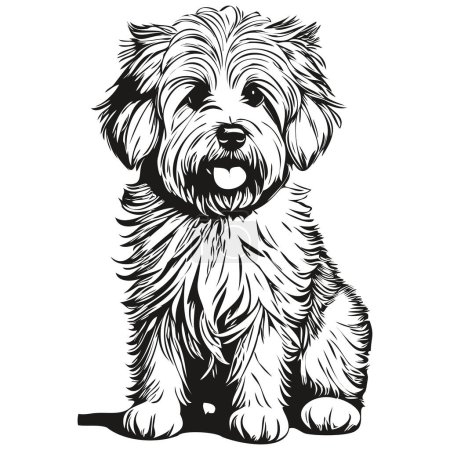 Ilustración de Coton de Tulear perro cabeza línea dibujo vector, ilustración dibujada a mano con fondo transparente realista raza mascota - Imagen libre de derechos
