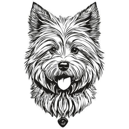 Ilustración de Coton de Tulear perro aislado dibujo sobre fondo blanco, cabeza mascota línea ilustración - Imagen libre de derechos