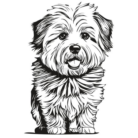Ilustración de Coton de Tulear perro logo vector blanco y negro, vintage lindo perro cabeza grabado listo camiseta impresión - Imagen libre de derechos