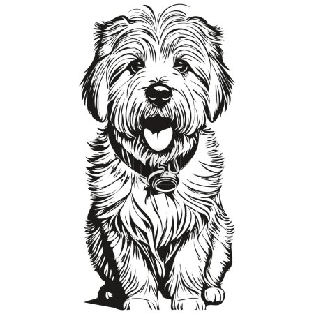 Ilustración de Coton de Tulear perro contorno lápiz dibujo ilustraciones, carácter negro sobre fondo blanco listo camiseta impresión - Imagen libre de derechos