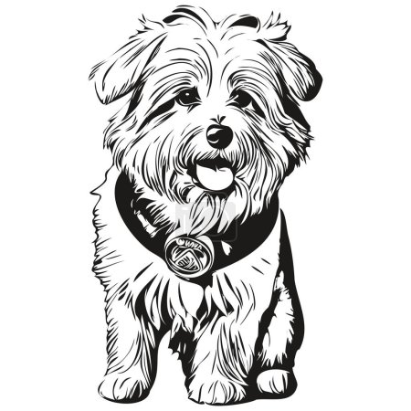 Ilustración de Coton de Tulear perro mascota silueta, animal línea ilustración mano dibujado negro y blanco vector listo camiseta impresión - Imagen libre de derechos