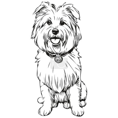 Ilustración de Coton de Tulear perro mascota silueta, animal línea ilustración dibujado a mano negro y blanco vector realista raza mascota - Imagen libre de derechos