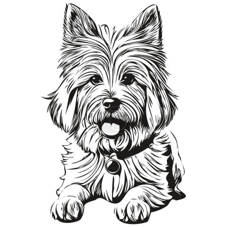 Ilustración de Coton de Tulear silueta mascota perro, animal línea ilustración dibujado a mano vector blanco y negro - Imagen libre de derechos