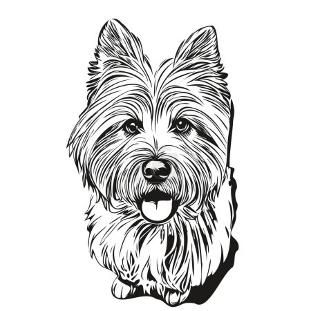 Ilustración de Dibujo realista del lápiz del perro de Coton de Tulear en vector, ilustración del arte de línea de cara de perro raza realista en blanco y negro mascota - Imagen libre de derechos