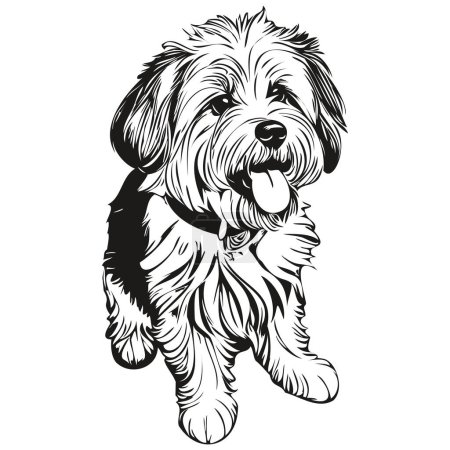 Ilustración de Coton de Tulear perro realista mascota ilustración, dibujo a mano cara negro y blanco dibujo de vectores - Imagen libre de derechos