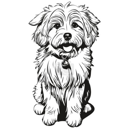 Ilustración de Coton de Tulear perro silueta mascota carácter, clip arte vector mascotas dibujo blanco y negro - Imagen libre de derechos