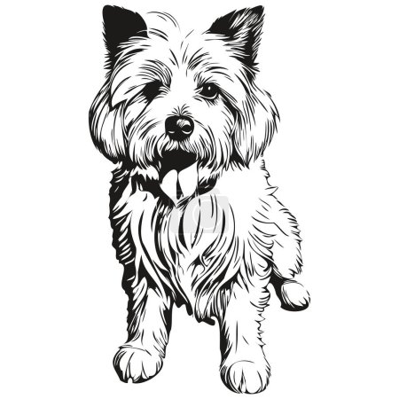 Ilustración de Coton de Tulear perro camiseta impresión blanco y negro, lindo esquema divertido dibujo vector - Imagen libre de derechos