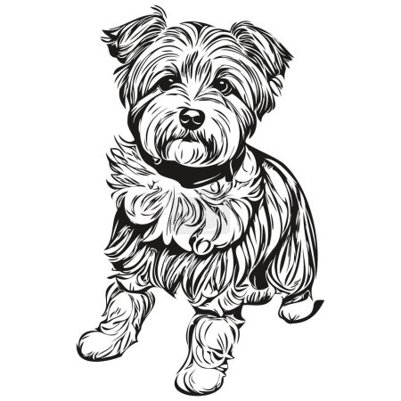 Illustration for Dandie Dinmont Terriers dog black drawing vector, isolated face painting sketch line illustration - Royalty Free Image