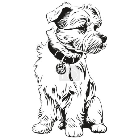 Illustration for Dandie Dinmont Terriers dog black drawing vector, isolated face painting sketch line illustration sketch drawing - Royalty Free Image