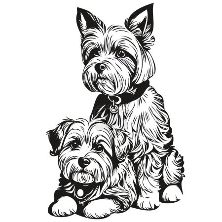 Illustration for Dandie Dinmont Terriers dog cartoon face ink portrait, black and white sketch drawing, tshirt print realistic breed pet - Royalty Free Image