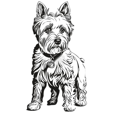 Ilustración de Dandie Dinmont Terriers perro grabado vector retrato, dibujo de la cara de dibujos animados vintage en blanco y negro realista raza mascota - Imagen libre de derechos
