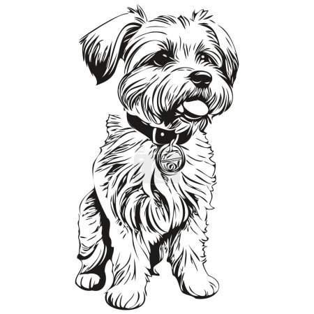 Illustration for Dandie Dinmont Terriers dog cartoon face ink portrait, black and white sketch drawing, tshirt print - Royalty Free Image