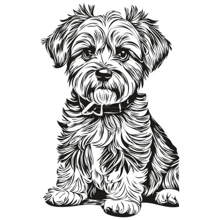 Ilustración de Dandie Dinmont Terriers perro grabado vector retrato, dibujo de la cara de dibujos animados vintage en blanco y negro - Imagen libre de derechos