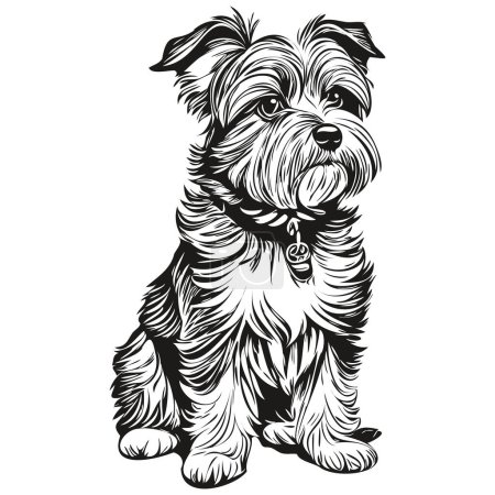 Ilustración de Dandie Dinmont Terriers perro cara vector retrato, esquema divertido mascota ilustración fondo blanco dibujo - Imagen libre de derechos