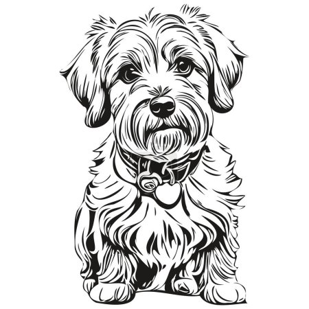 Ilustración de Dandie Dinmont Terriers perro cabeza línea dibujo vector, ilustración dibujada a mano con fondo transparente realista raza mascota - Imagen libre de derechos