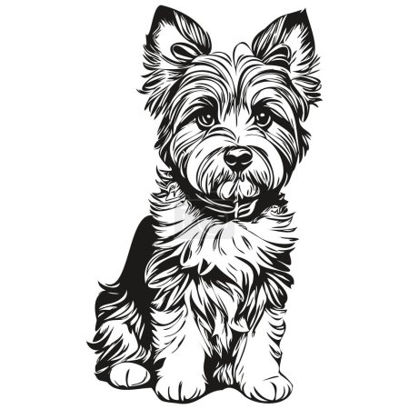 Illustration for Dandie Dinmont Terriers dog hand drawn logo drawing black and white line art pets illustration sketch drawing - Royalty Free Image