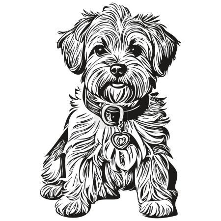 Ilustración de Dandie Dinmont Terriers perro cabeza línea dibujo vector, ilustración dibujada a mano con dibujo de fondo transparente - Imagen libre de derechos
