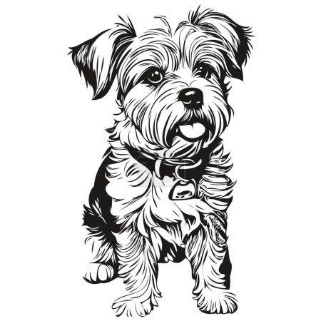 Illustration for Dandie Dinmont Terriers dog isolated drawing on white background, head pet line illustration realistic breed pet - Royalty Free Image
