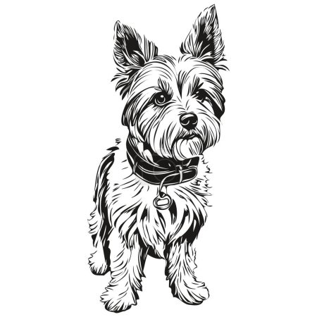 Ilustración de Dandie Dinmont Terriers dibujo de boceto de tinta de perro, tatuaje vintage o camiseta imprimir negro y blanco vector realista raza mascota - Imagen libre de derechos