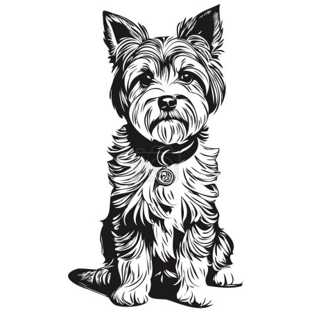 Illustration for Dandie Dinmont Terriers dog ink sketch drawing, vintage tattoo or t shirt print black and white vector - Royalty Free Image